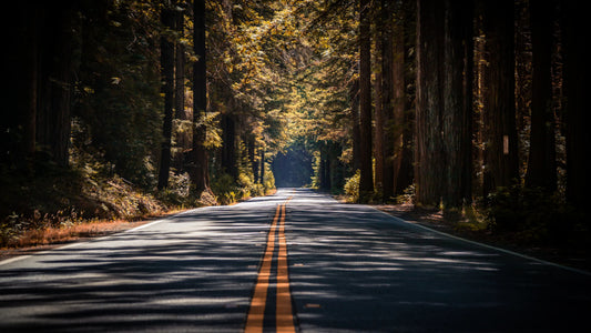 Wooden area with a two lane road. 
